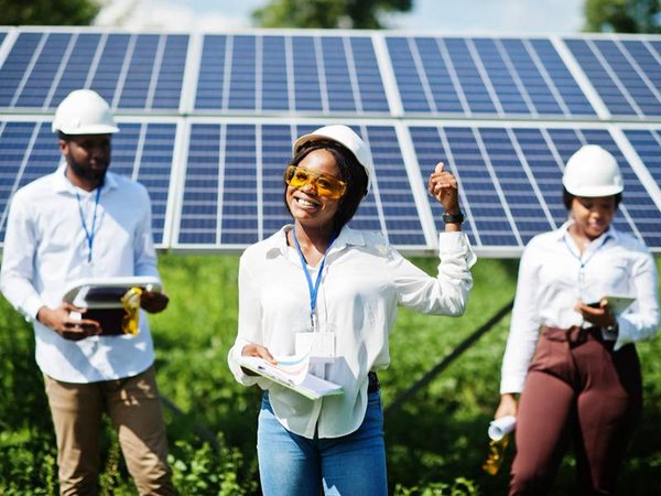 Que représentent l'activité et l'emploi dans les EnR ?